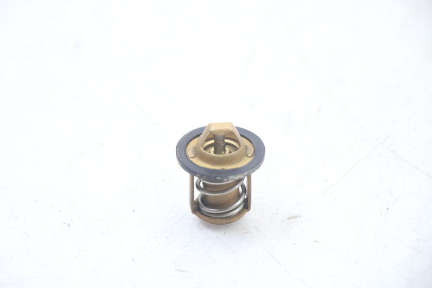 photo de TERMOSTATO PEUGEOT SPEEDFIGHT 3 LC 2T 50 (2009 - 2015) - Zoom do estado de desgaste