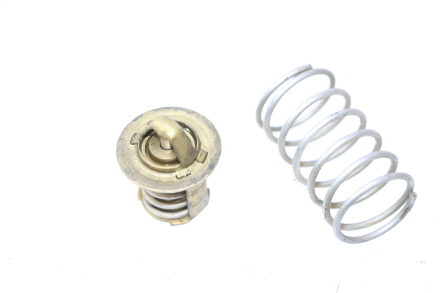 photo de TERMOSTATO PEUGEOT SPEEDFIGHT LC 50 (1996 - 2002) - Zoom do estado de desgaste