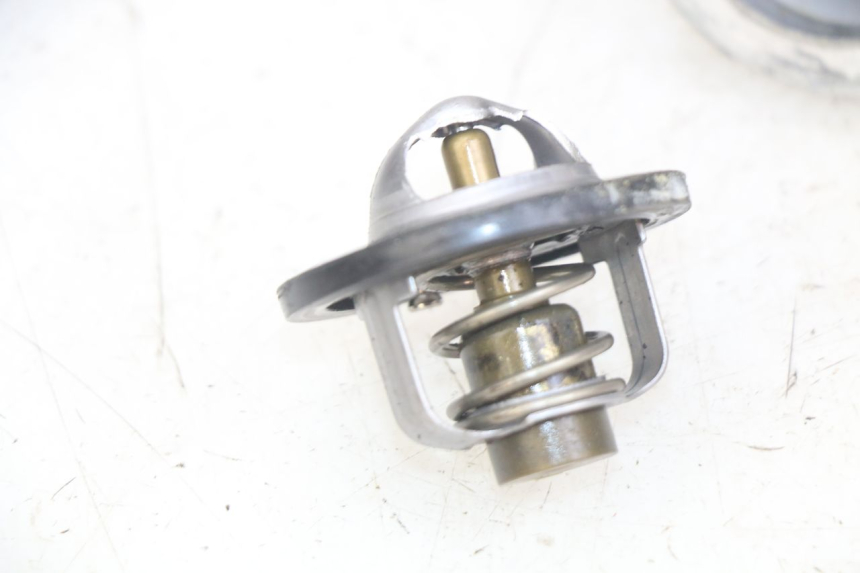 photo de TERMOSTATO SUZUKI SV N 650 (1999 - 2002) - Vista geral