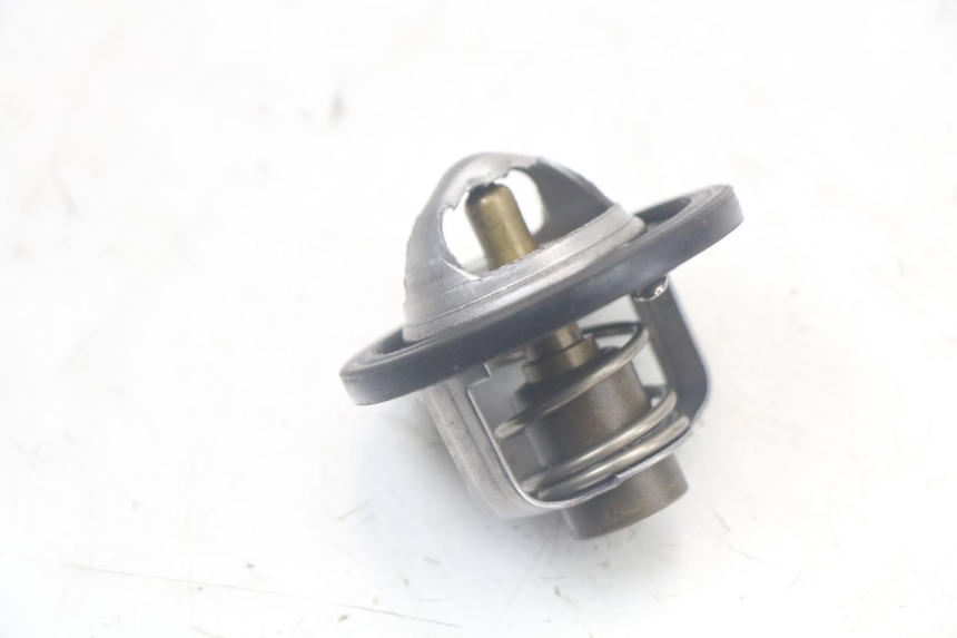 photo de TERMOSTATO SUZUKI SV N 650 (1999 - 2002) - Zoom do estado de desgaste