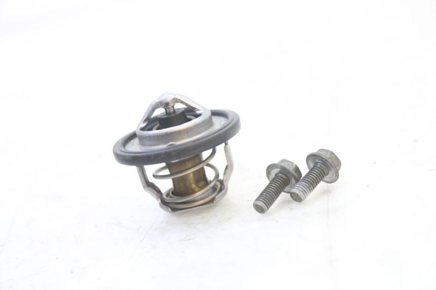 photo de TERMOSTATO SUZUKI SV S 650 (2003 - 2009) - Vista geral
