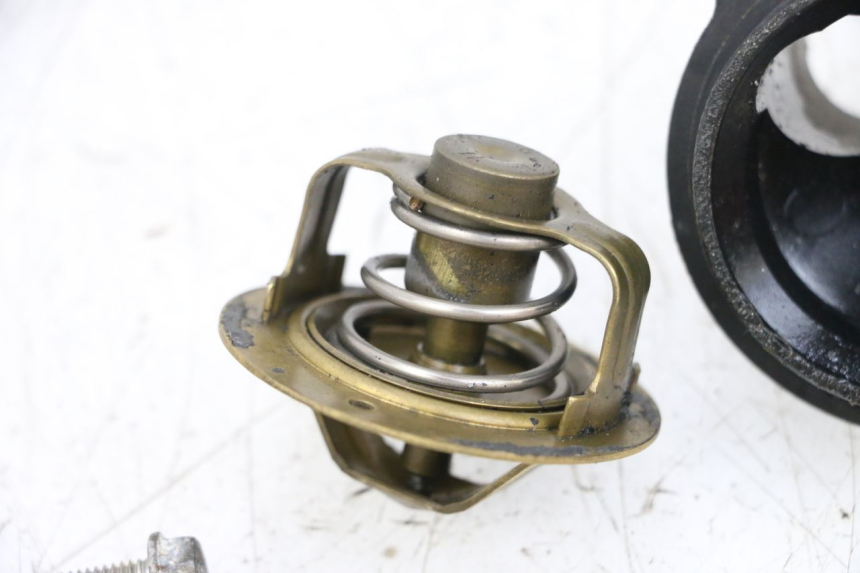photo de TERMOSTATO YAMAHA TDM ABS 900 (2002 - 2014) - Estado da superfície