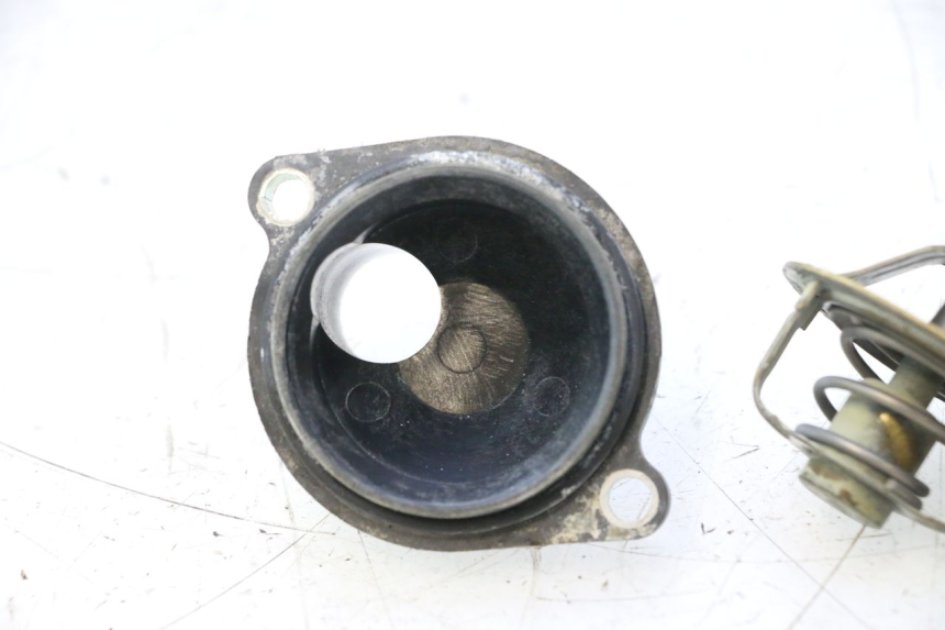 photo de TERMOSTATO YAMAHA TDM ABS 900 (2002 - 2014) - Detalhe da peça