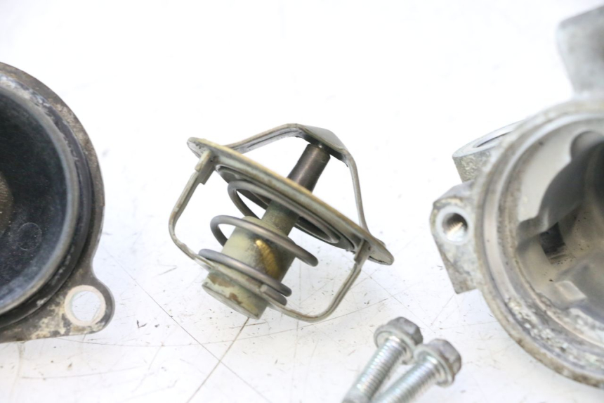 photo de TERMOSTATO YAMAHA TDM ABS 900 (2002 - 2014) - Zoom do estado de desgaste