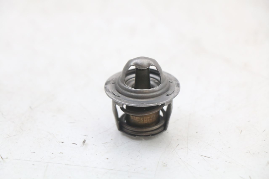 photo de TERMOSTATO YAMAHA TDR DELTABOX 125 (1997 - 2003) - Detalhe da peça