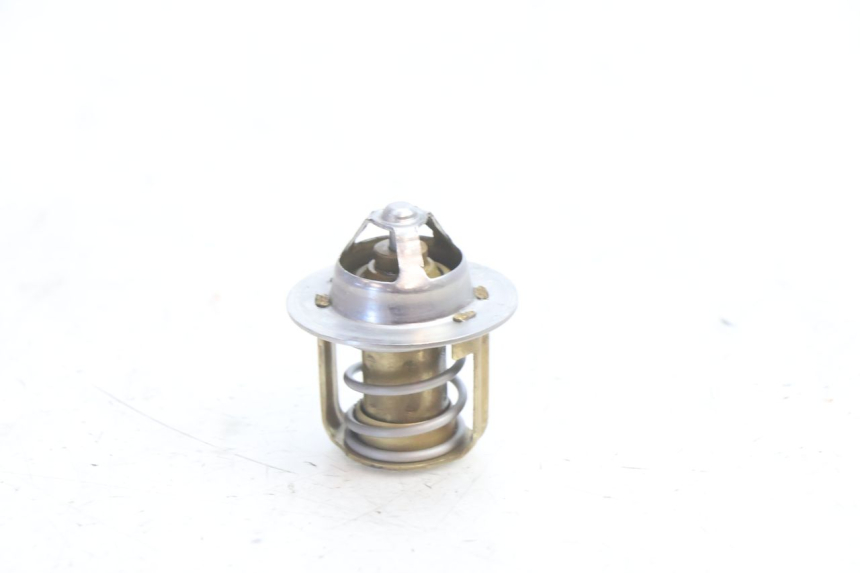 photo de TERMOSTATO HUSABERG TE 250 (2011 - 2014) - Vista principal