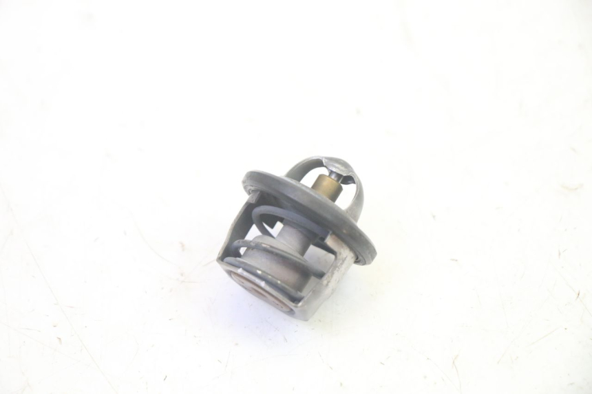 photo de TERMOSTATO YAMAHA X-MAX XMAX 125 (2010 - 2013) - Detalhe da peça