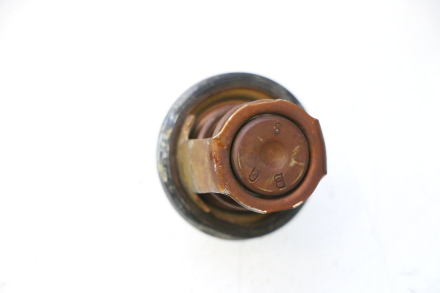 photo de TERMOSTATO YAMAHA XMAX X-MAX 125 (2006 - 2009) - Zoom do estado de desgaste