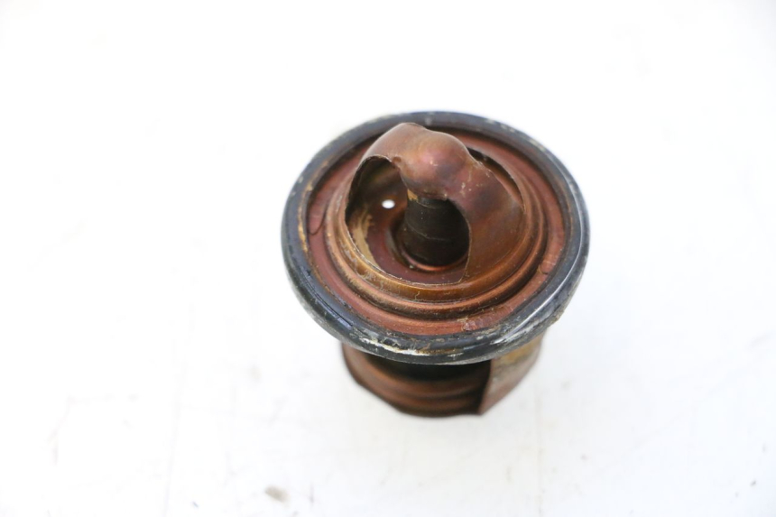 photo de TERMOSTATO YAMAHA XMAX X-MAX 125 (2006 - 2009) - Outro ângulo de visão