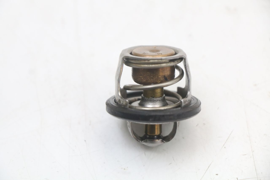 photo de TERMOSTATO YAMAHA YP MAJESTY 125 (2002 - 2006) - Zoom do estado de desgaste