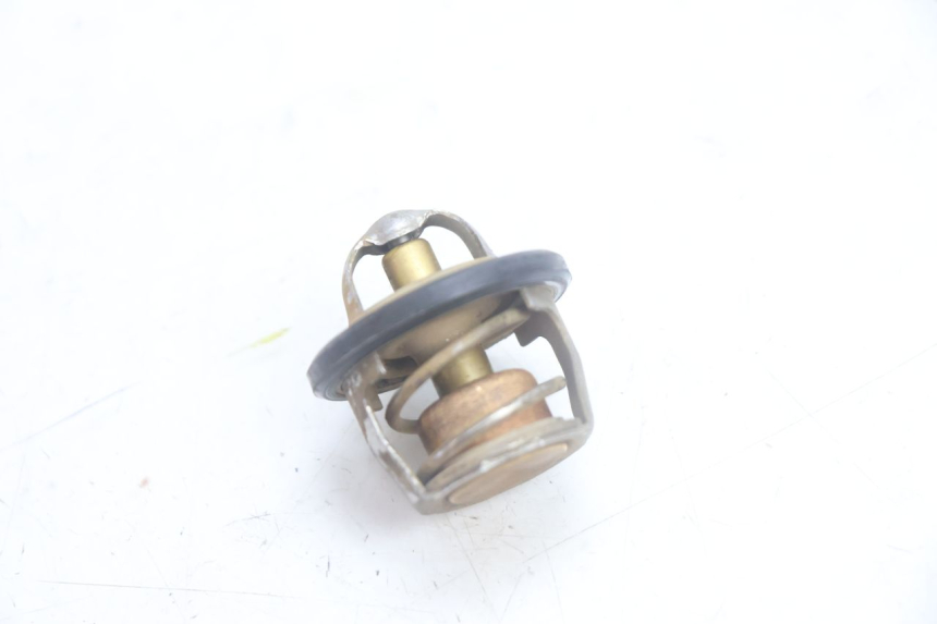 photo de TERMOSTATO YAMAHA YP MAJESTY 125 (2002 - 2006) - Vista principal