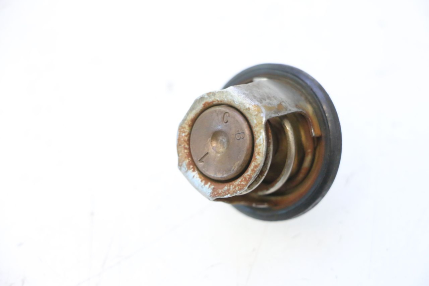 photo de TERMOSTATO YAMAHA YP MAJESTY 125 (2007 - 2010) - Detalhe da peça