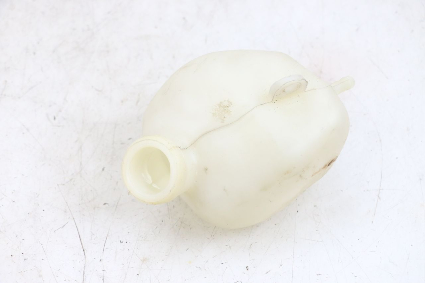 photo de VASO DE EXPANSÃO PEUGEOT ELYSEO 125 (1999 - 2004) - Detalhe da peça