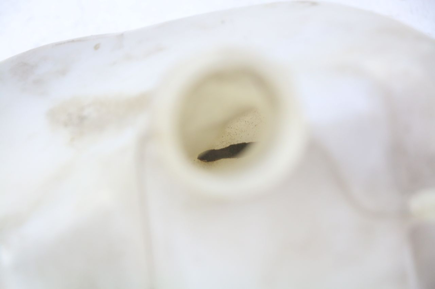 photo de VASO DE EXPANSÃO GILERA NEXUS 125 (2009 - 2013) - Detalhe da peça