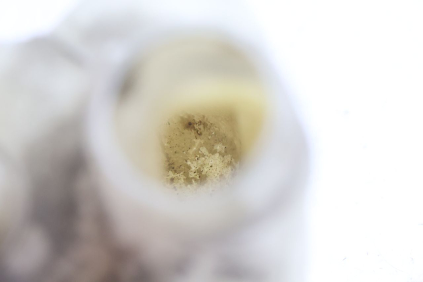 photo de VASO DE EXPANSÃO GILERA RUNNER SP 50 (2002 - 2004) - Pontos de fixação