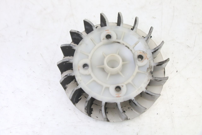 photo de VENTILADOR PEUGEOT ELYSTAR 50 (2002 - 2014) - Zoom do estado de desgaste