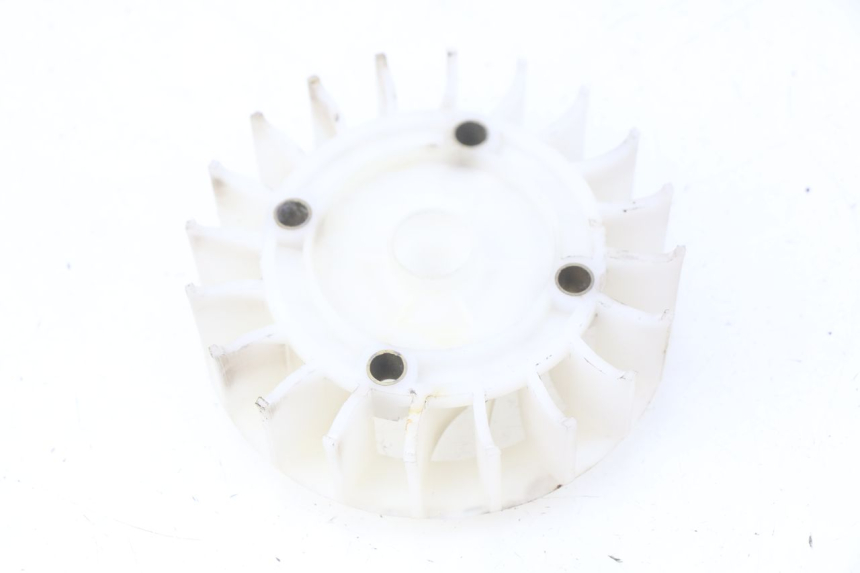 photo de VENTILADOR JM MOTORS OLDIES 4T 50 (2010 - 2020) - Zoom do estado de desgaste