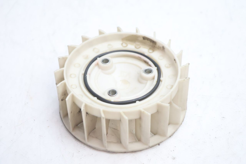 photo de VENTILADOR TNT MOTOR ROMA 10' 2T 50 (2011 - 2018) - Zoom do estado de desgaste