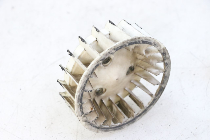 photo de VENTILADOR TNT MOTOR ROMA 10' 2T 50 (2011 - 2018) - Zoom do estado de desgaste