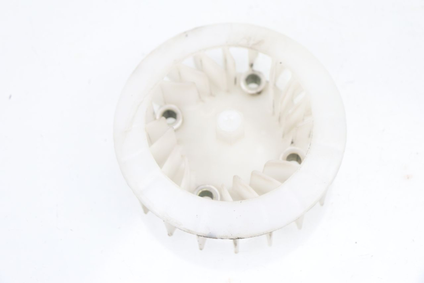 photo de VENTILADOR JM MOTORS VIPER 4T 50 (2015 - 2022) - Vista principal
